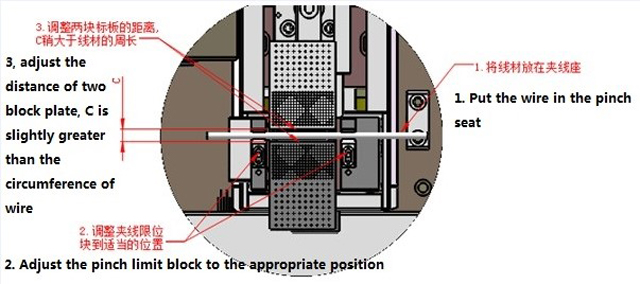 sarma illüstrasyonu.jpg