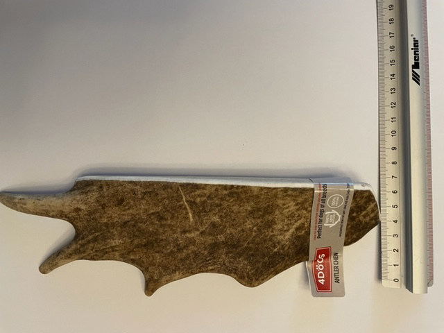 Karaca geyiği genişliği XXL 4-7cm.jpg